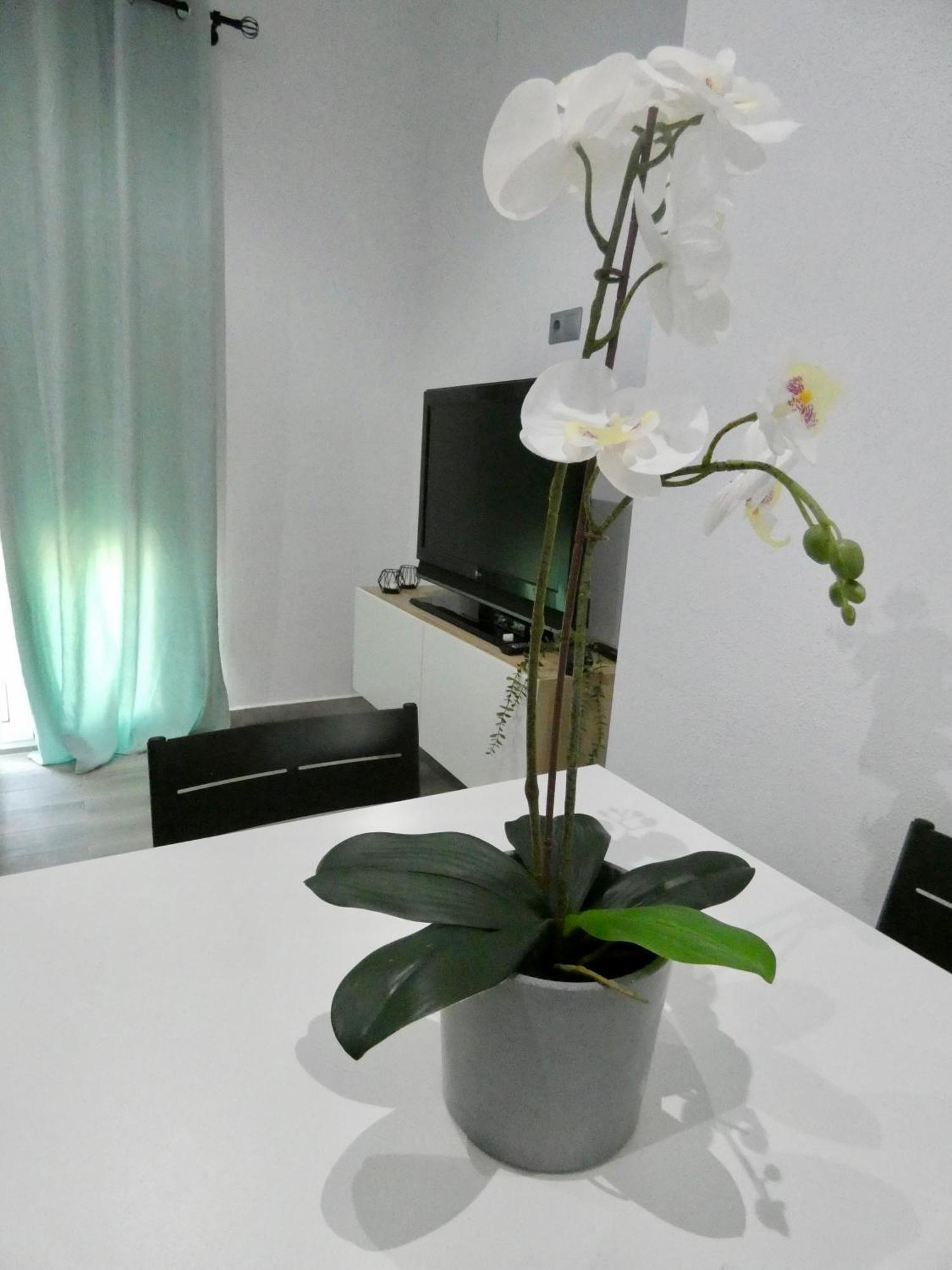 Casa Monturrio Apartment Moguer Exterior photo
